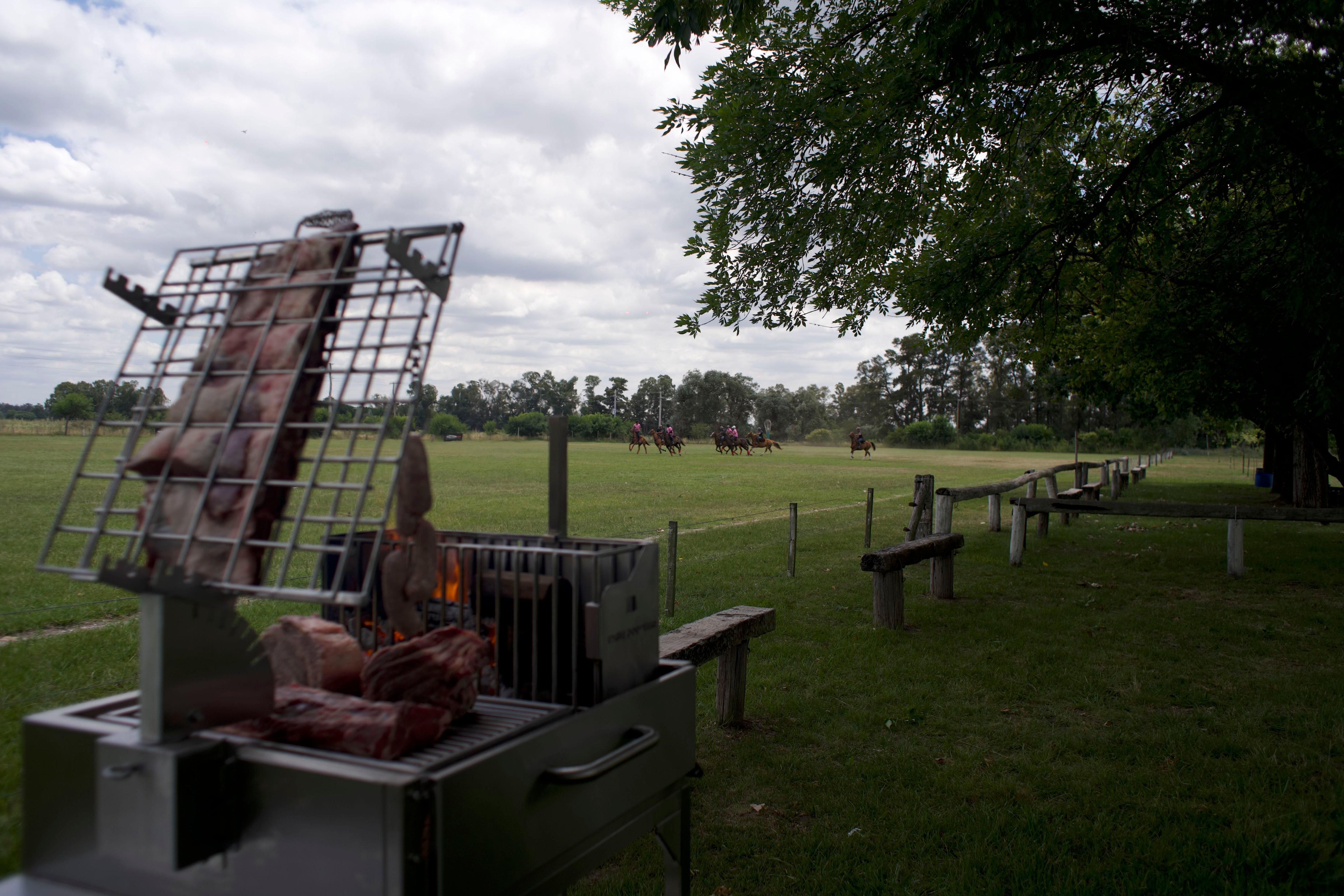 Argentine Clamp Grill with Firebox Tagwood BBQ33SS